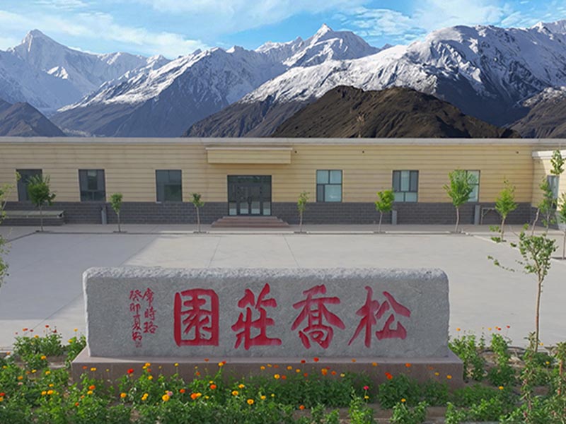 全球葡萄与葡萄酒行业持续承压 国际组织呼吁加强合作与绿色转型